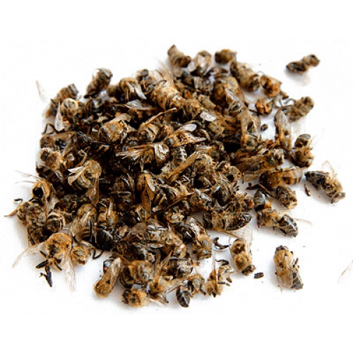 Состав и свойства пчелиного подмора