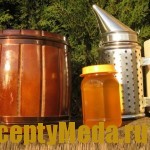 Золотарниковый мед – свойства и польза